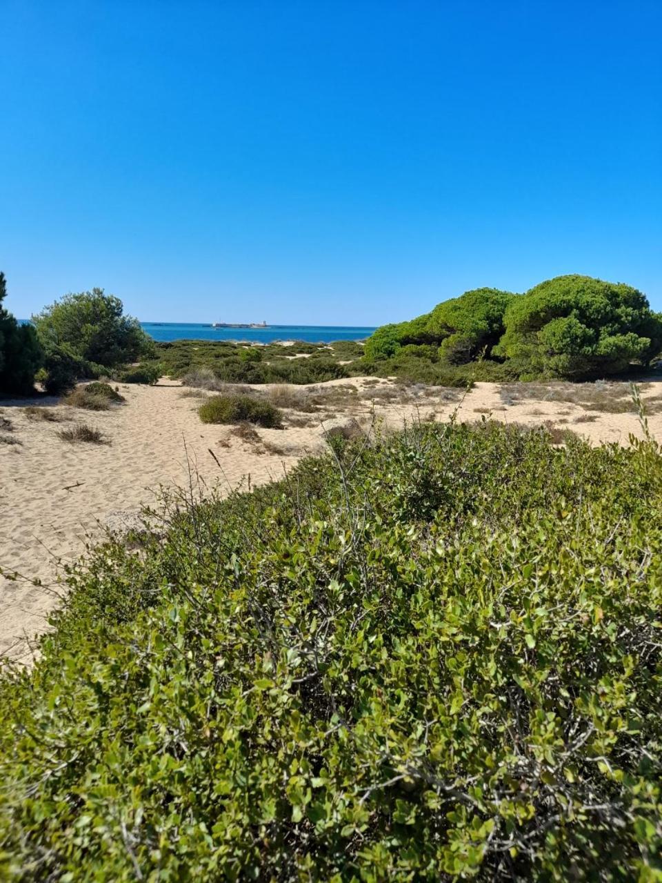 Apartamento Playa La Barrosa Chiclana de la Frontera Exterior foto